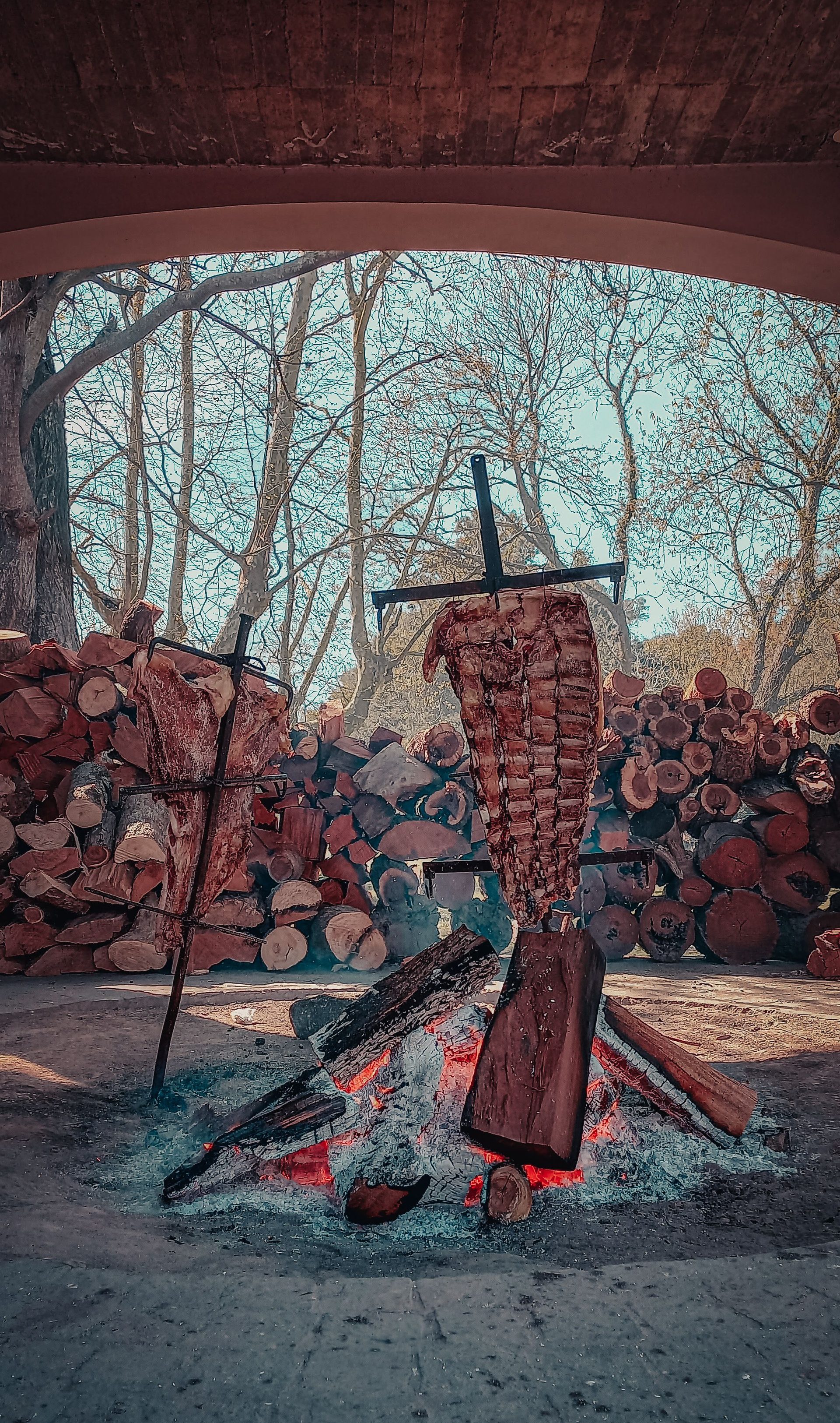 Rinder-Asado am Kreuzspieß (Asador) über offener Feuerstelle, im Hintergrund gestapeltes Brennholz